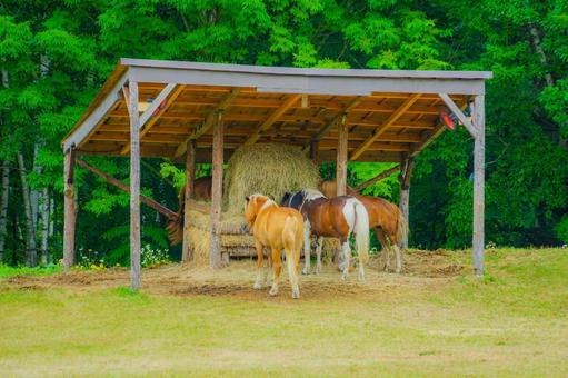馬の飼葉場のイメージ 馬の飼葉場のイメージ 馬,飼葉,屋根の写真素材