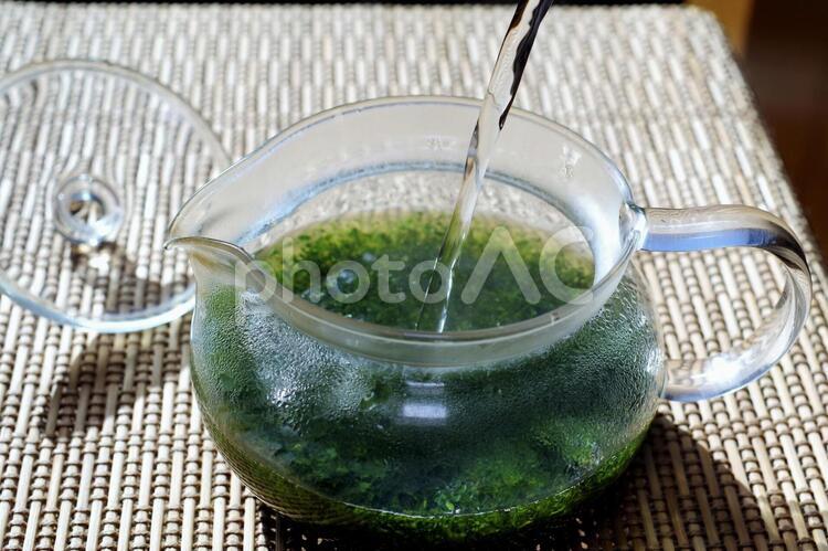 緑茶を淹れているところ 緑茶,お湯,日本茶の写真素材