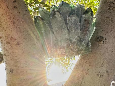 神聖な刻 自然,空,壁紙の写真素材