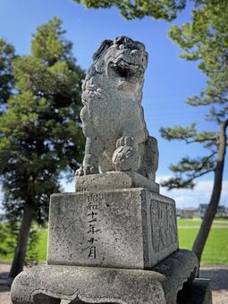 社叢の中の狛犬2 社叢の中の狛犬2の写真