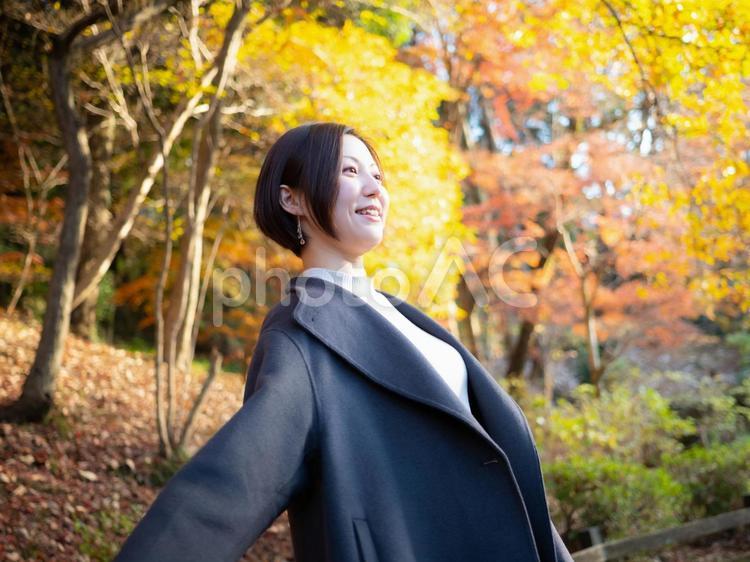 31：紅葉の公園を散策する女性 紅葉,公園,散策の写真素材