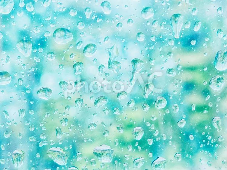 森の雨上がりの窓ガラス 梅雨,窓ガラス,雨の写真素材