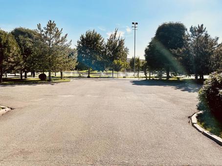 タシケントの公園 タシケントの公園の写真