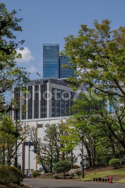 国会前庭から見える風景 国会前庭,日本,ビルの写真素材