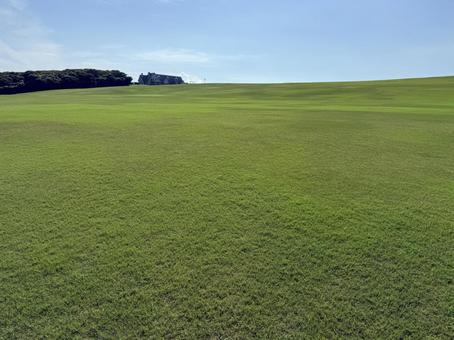 芝生と空1 芝生と空1 駐車場,福井県,芝政ワールドの写真素材