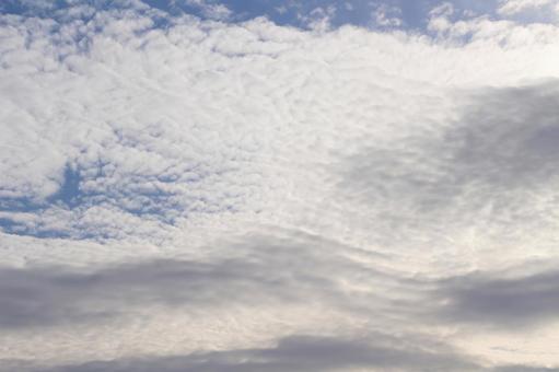 鱗雲 鱗雲 の写真