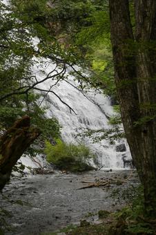 湯滝 湯滝 栃木県,日光市,奥日光の写真素材