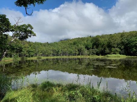 知床五湖 知床五湖 池,北海道,夏の写真素材