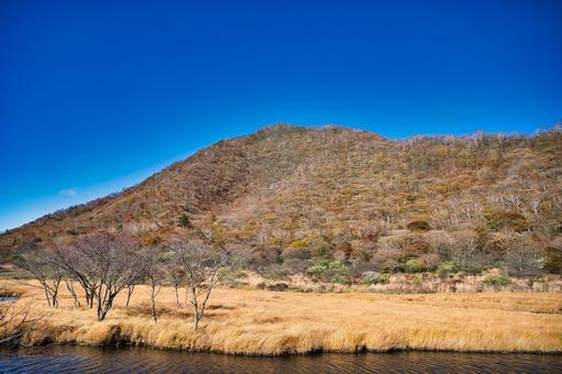 秋深まる覚満渕 風景,青空,晴れの写真素材