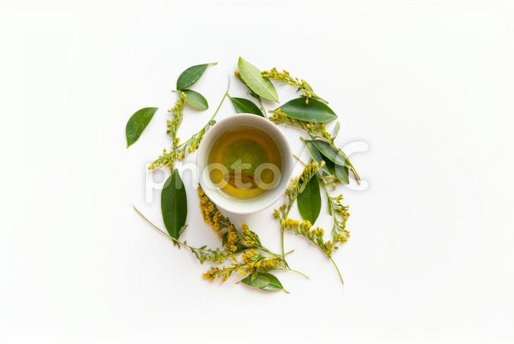 小さい葉っぱやミモザで囲んだドクダミ茶 お茶,飲み物,ドクダミ茶の写真素材