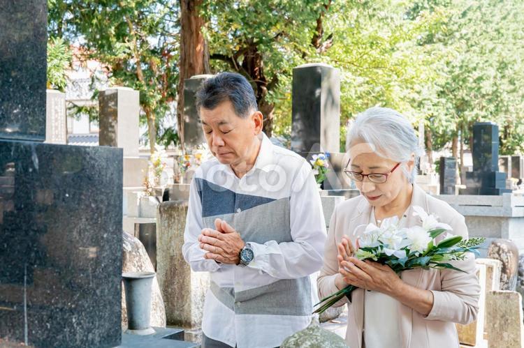 お墓参りする高齢者の男女（仏花） お墓参り,仏花,供花の写真素材