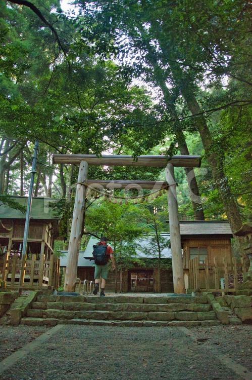 天の岩戸神社東本宮の鳥居と参道　　 天の岩戸神社,東本宮,神社の写真素材