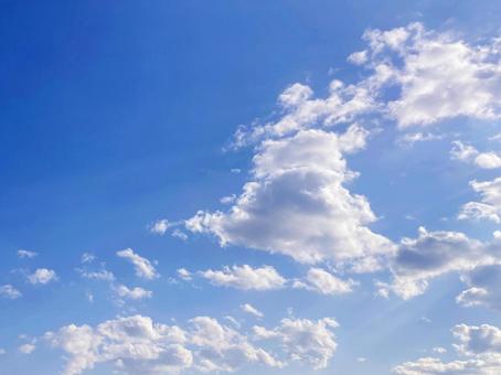 冬空 冬空の写真