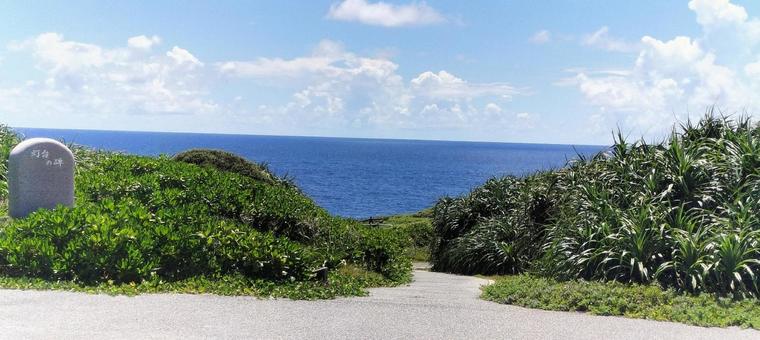 海へ続く道 海へ続く道の写真