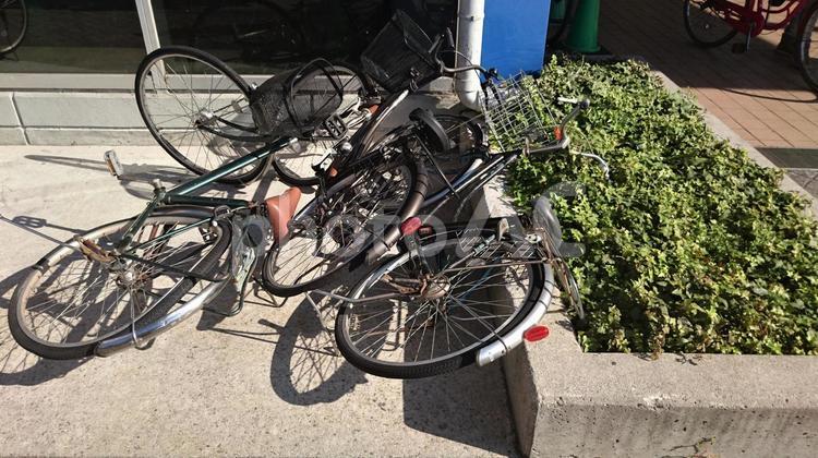 倒れた自転車 自転車,将棋倒し,風の写真素材
