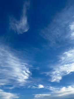青空（縦写真） 空,わたぐも,ふわふわの写真素材