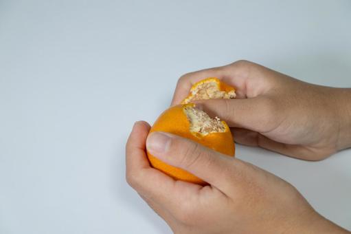 両手でみかんの皮をむく様子 みかん,手,人の写真素材