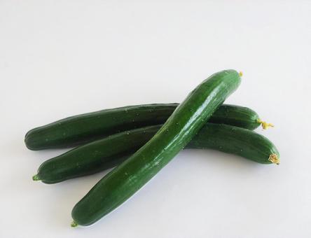 新鮮な夏野菜 きゅうり3本 農作物 新鮮な夏野菜 きゅうり3本 農作物 野菜,きゅうり,胡瓜の写真素材