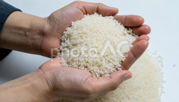 生の白米を持つ手 米,食べ物,健康の写真素材