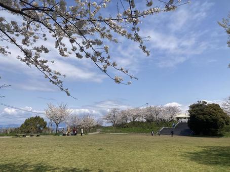 高塔山公園 高塔山公園の写真