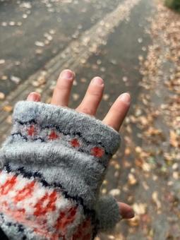 指なし手袋と秋の歩道 手袋,指なし手袋,秋の写真素材