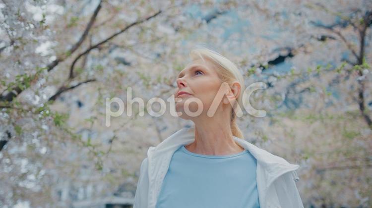 首を伸ばして遠くを見る女性 女性,人物,元気の写真素材