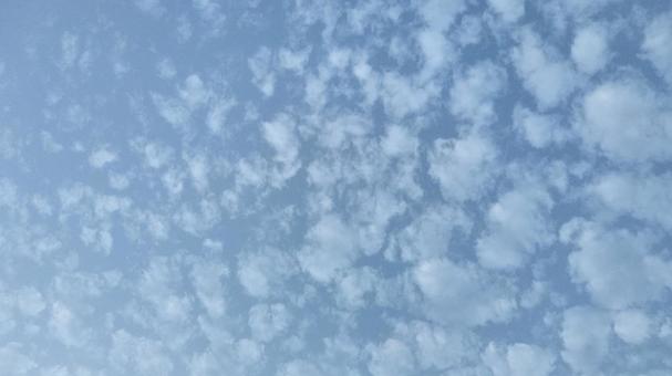 模様のようなまだら雲 模様のようなまだら雲 自然,昼,雲の写真素材