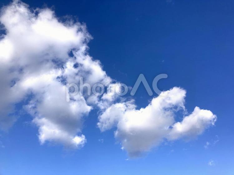 青い空に浮かぶ生き物の様な雲 青い空,生き物の様な雲,風景の写真素材