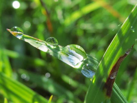 Water drops and green leaves landscape, JPG Water drops and green leaves landscape, JPG