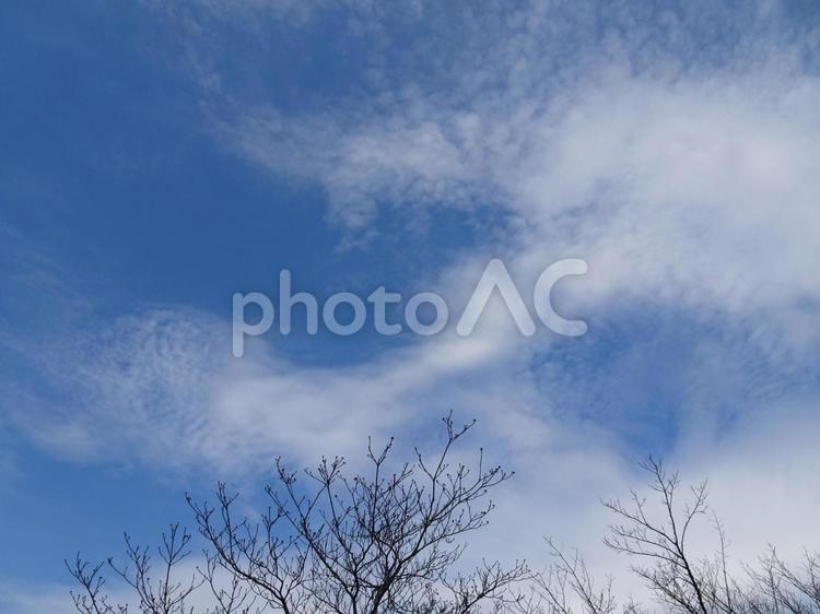 十二月の雲-8 十二月の雲,青空,空の写真素材