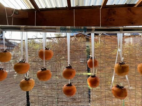 干し柿 干し柿,柿,渋柿の写真素材