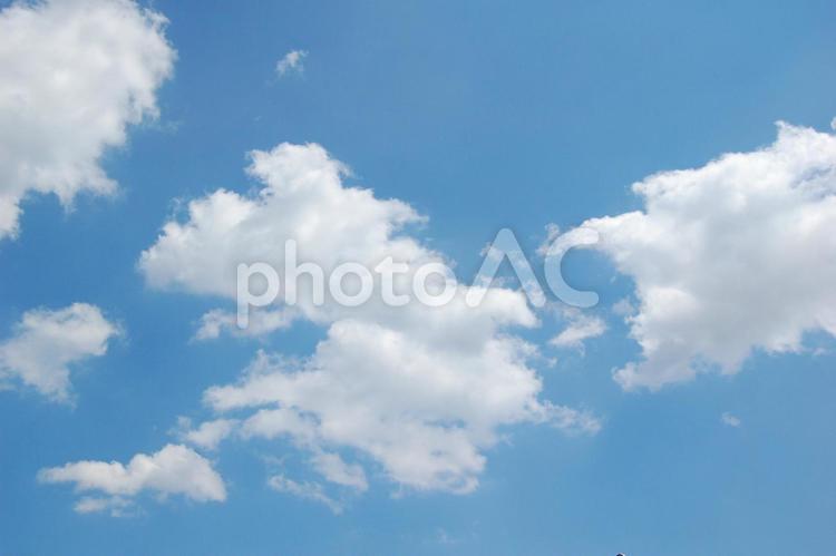 ふんわりと浮かぶ雲と青空 空,青空,雲の写真素材