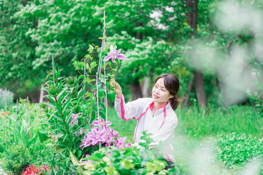 庭で花の世話をする若い女性 ナチュラル,秋,自然の写真素材