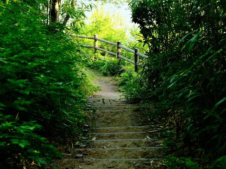 松島内 背景画,階段,小道の写真素材