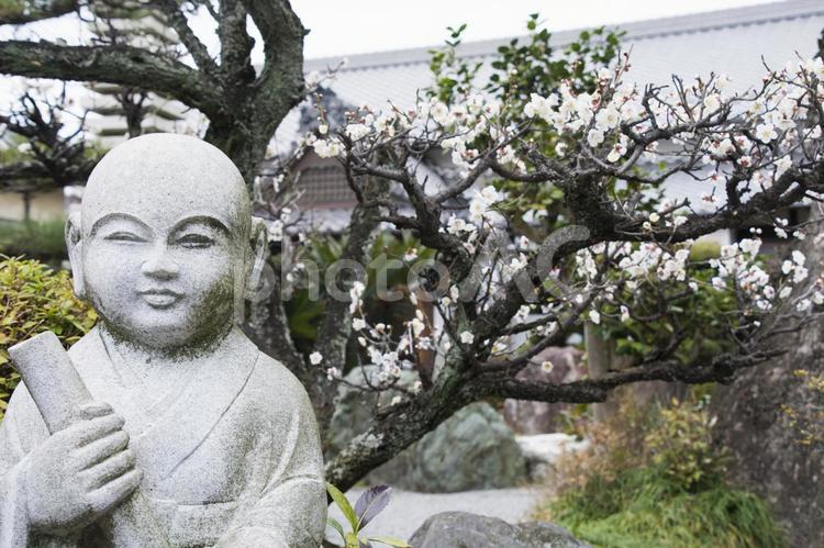 地蔵と花 地蔵,花,お地蔵様の写真素材