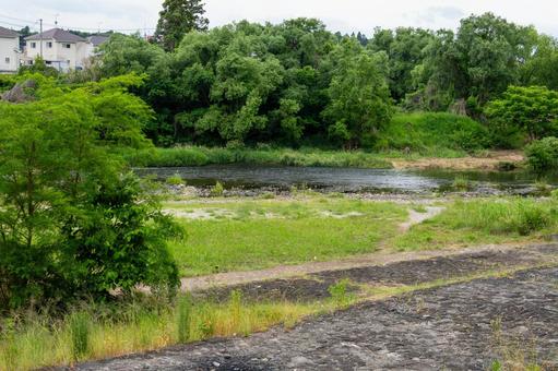 Photo, early summer, urban park, park, 