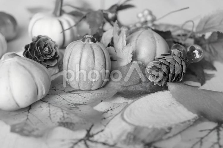 秋のイメージ素材 秋,ハロウィン,素材の写真素材
