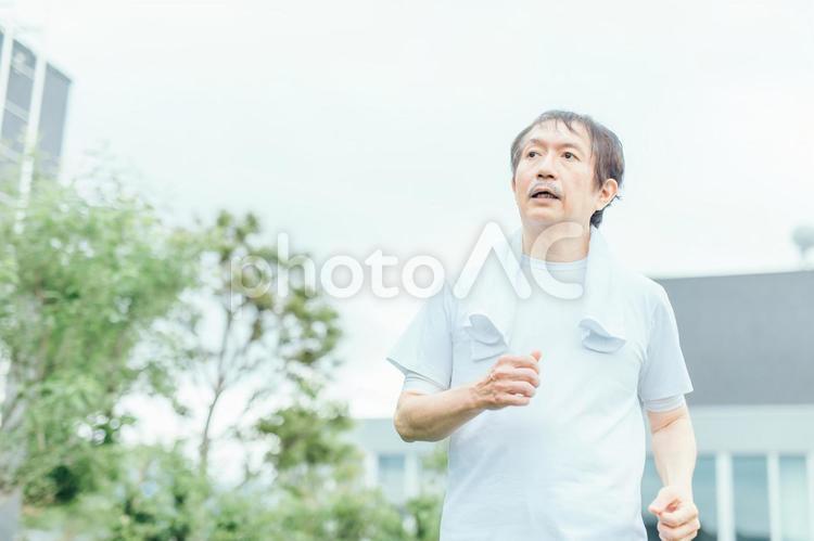 トレーニングする中高年男性（ウォーキング・半袖）　 ウォーキング,有酸素運動,歩くの写真素材