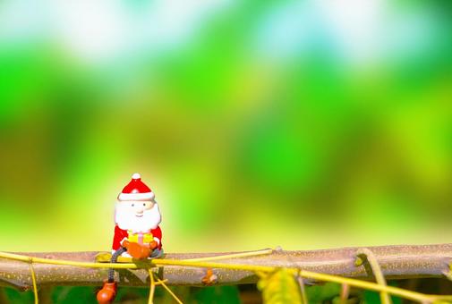サンタクロース クリスマス,サンタクロース,木の写真素材