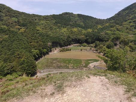 春日の棚田 春日の棚田 あぜ道,春日,棚田の写真素材