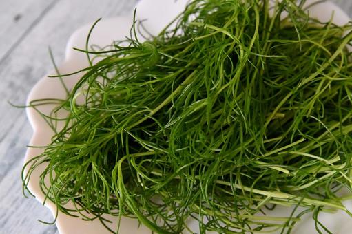 おかひじき おかひじき おかひじき,野菜,ミルナの写真素材
