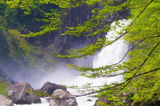 苗名の滝 苗名の滝 苗名の滝,新潟,滝の写真素材