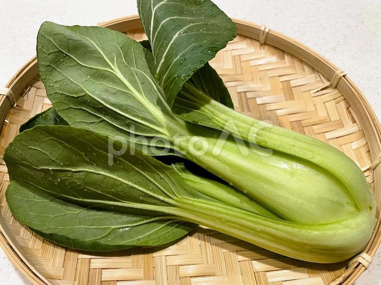生でも食べられる新鮮なチンゲン菜２ チンゲン菜,タイサイ,中華の写真素材