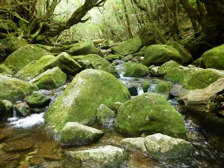 山の風景 山の風景の写真