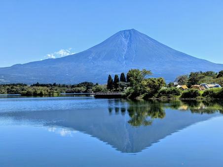田貫湖に映る夏の富士山 富士山,湖,自然の写真素材