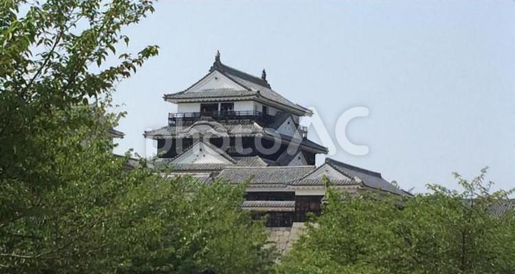 緑の季節に撮った晴天の松山城　 松山城,愛媛県,城の写真素材