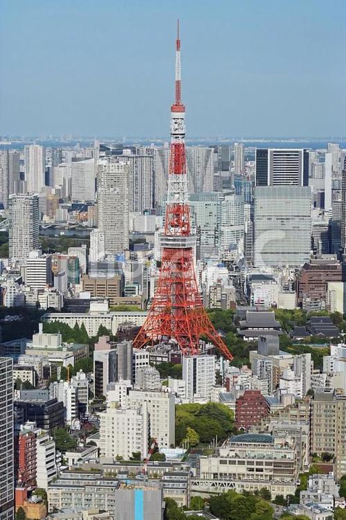 東京タワー　六本木ヒルズから見たビル群 東京タワー,シティビュー,港の写真素材