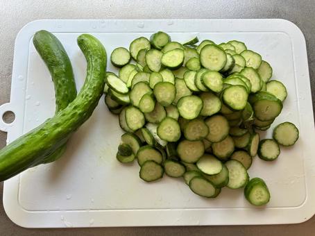 たくさんのキュウリの輪切り きゅうり,野菜,輪切りの写真素材