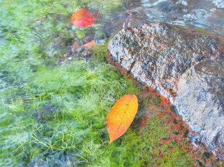 水場の風景_28 水場,湧水,名水の写真素材