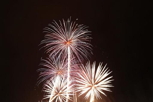 花火 花火 花火,花火大会,風景の写真素材